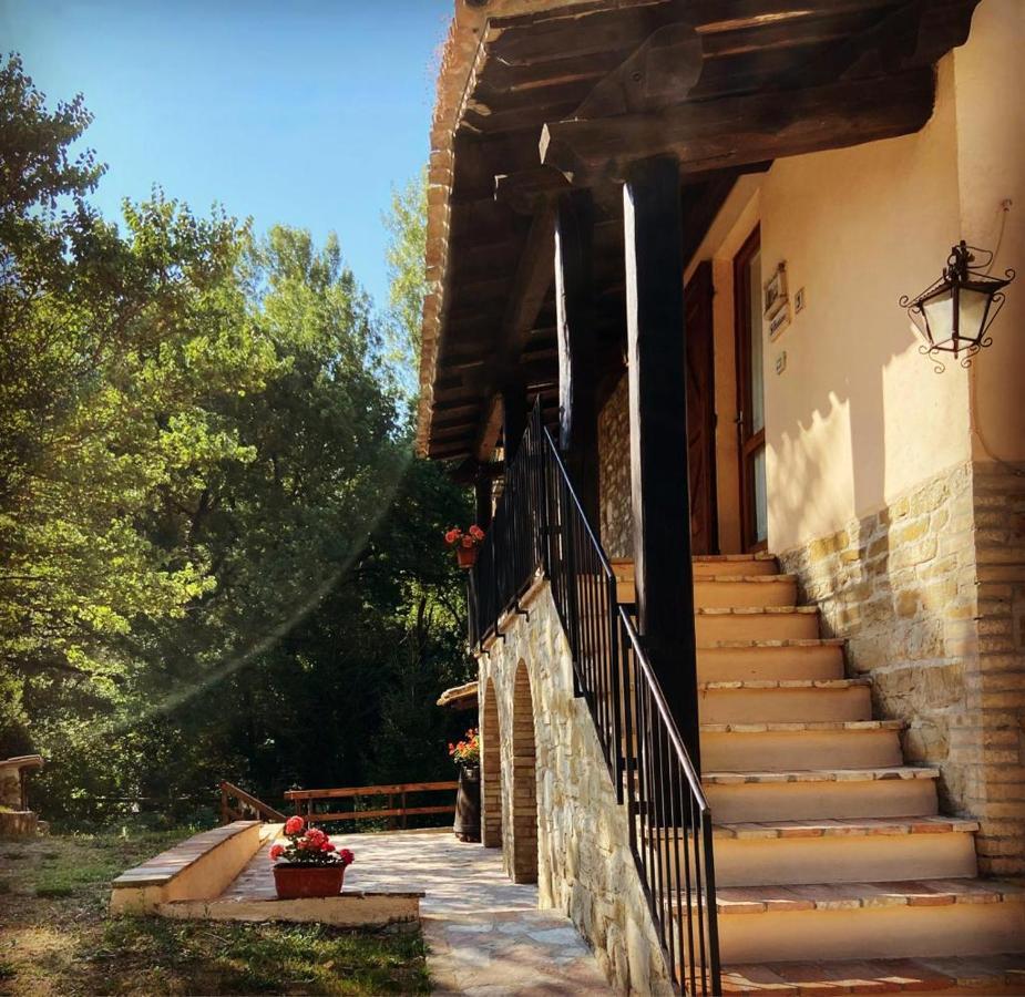 Гостевой дом Le Querce Di Assisi Пьяно-делле-Пьеве Экстерьер фото